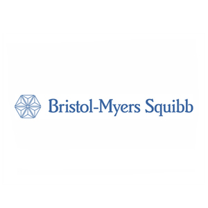 Logo Bristol